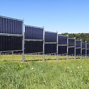 Photo eines Solarzaun: Blumenwiese vor den senkrecht aufgeständerten Photovoltaikmodulen