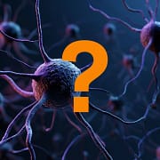 Das bild symbolisiert ein neuronales Netz des menschlichen Gehirns und die Macht, die Fragen darauf haben.