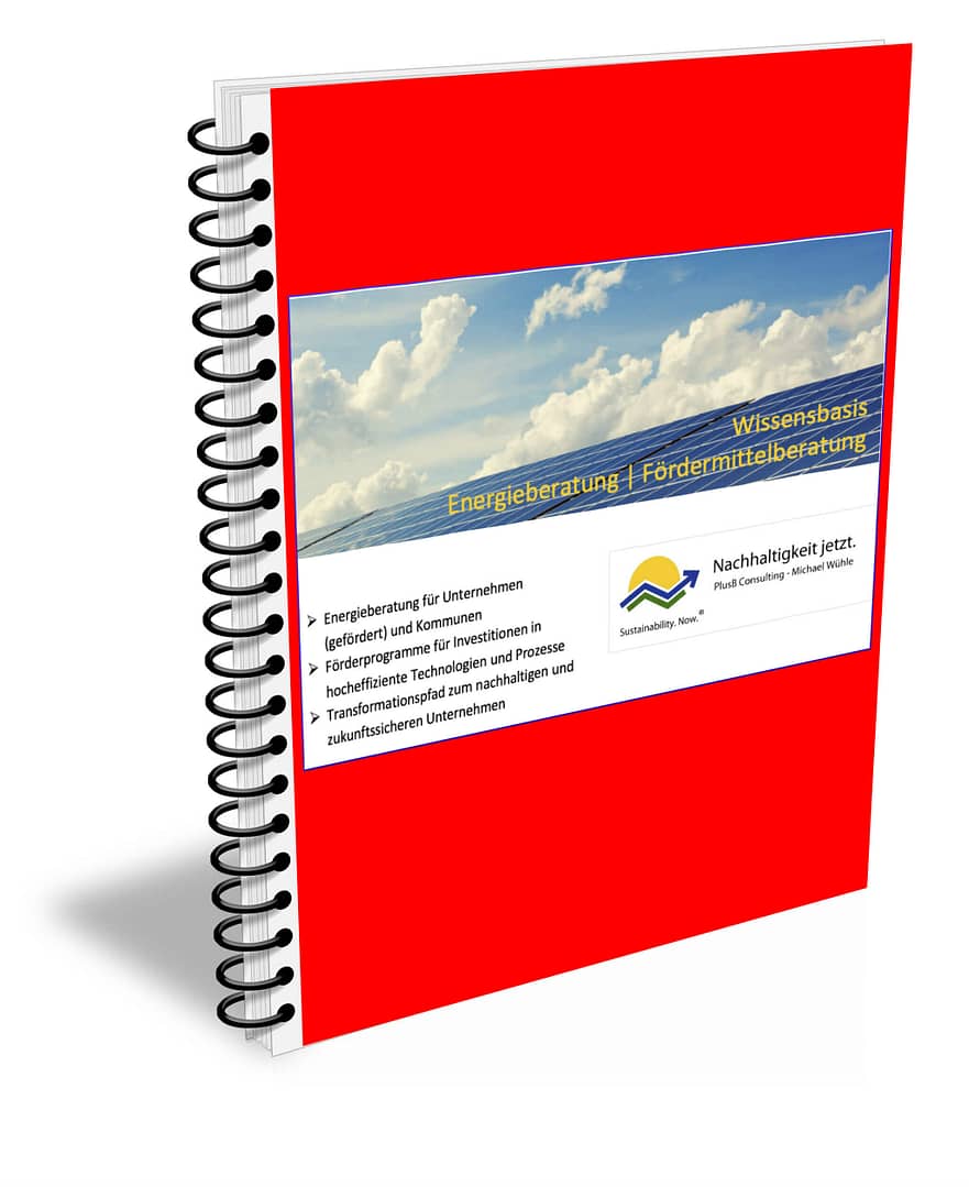 eBook Energieberatung
